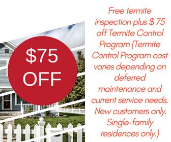 get-75-off-Termite